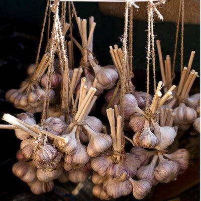 Як зберігати часник: ефективні методи для тривалого зберігання