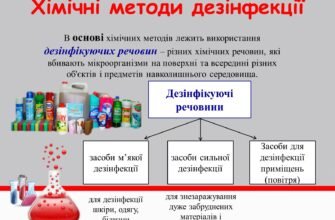 Хімічні методи дезінфекції: оптимальні рішення для чистоти приміщень
