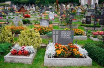 Як гарно посадити квіти на могилі: поради та рекомендації