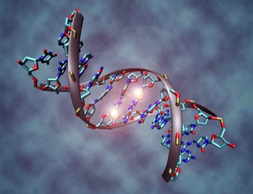 ДНК як розшифровується: відкриття та значення для науки