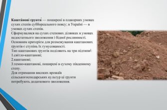 Материнська порода каштанових ґрунтів: основи формування та властивості