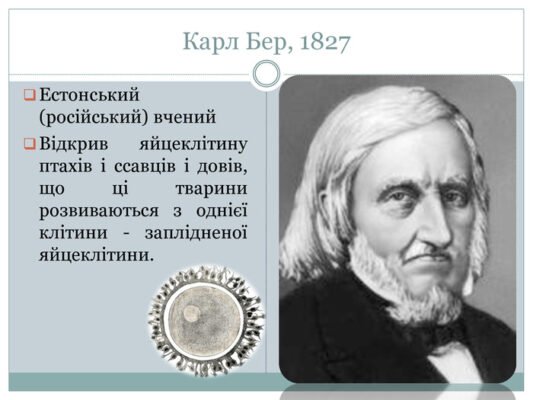 Хто відкрив клітину: першовідкривачі важливого наукового відкриття