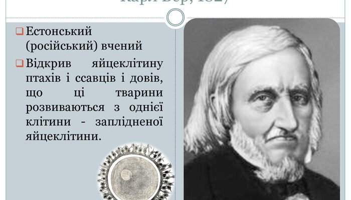Хто відкрив клітину: першовідкривачі важливого наукового відкриття