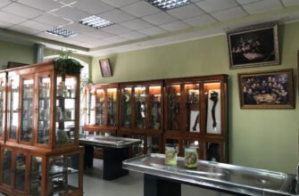 Досліджуйте Анатомічний музей Івано-Франківська: унікальна колекція та історія