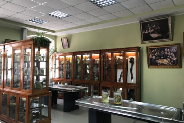 Досліджуйте Анатомічний музей Івано-Франківська: унікальна колекція та історія