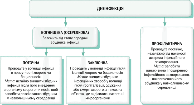 Методи дезінфекції: ефективні способи очищення від мікробів