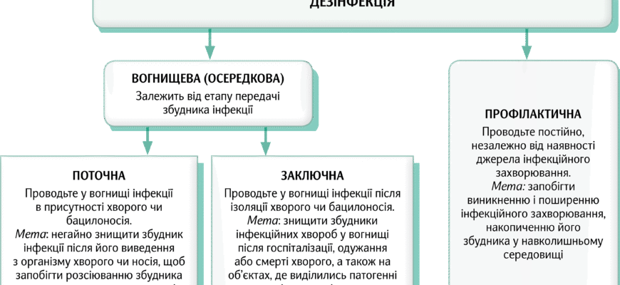 Методи дезінфекції: ефективні способи очищення від мікробів