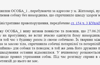 Хто розглядає справи за статтею 154 ч. 3 КУпАП в Україні?