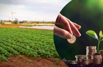 Хто зобов’язаний сплачувати податок на землю в Україні у 2023 році?