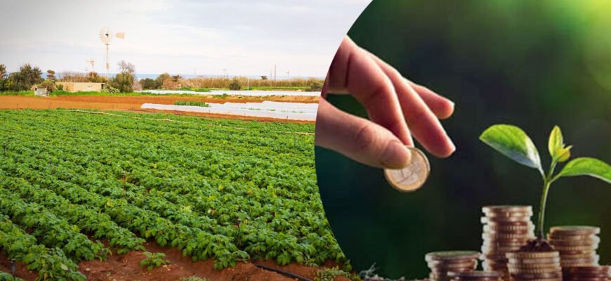 Хто зобов’язаний сплачувати податок на землю в Україні у 2023 році?