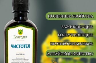 Настойка чистотел: корисні властивості та застосування в медицині