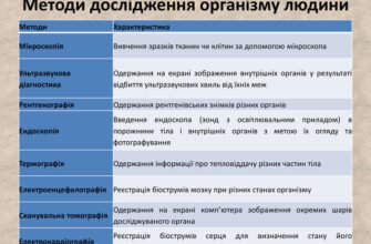 Ефективні методи дослідження організму людини: сучасні підходи