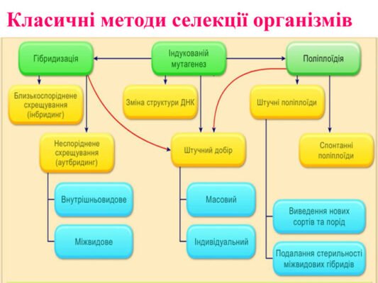 Основні методи селекції: назвіть ключові техніки для успіху в селекції
