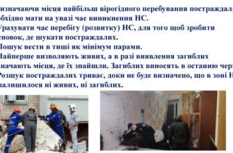 Які основні методи пошуку постраждалих ви знаєте: огляд підходів