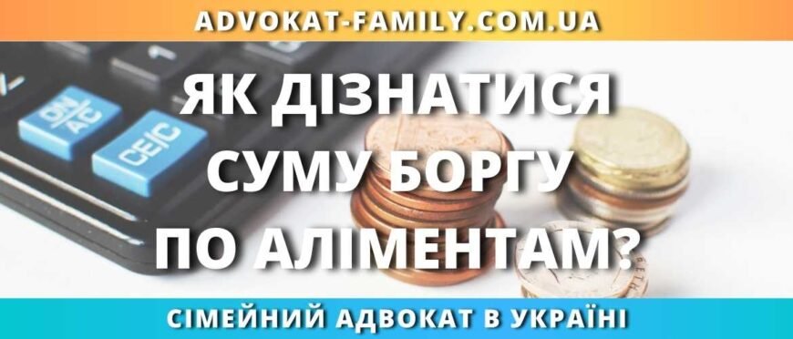 Як дізнатися заборгованість по аліментах онлайн: покрокова інструкція