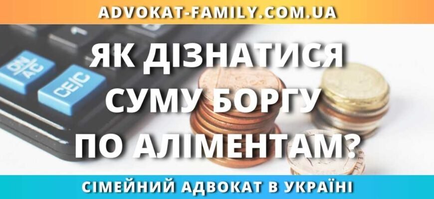 Як дізнатися заборгованість по аліментах онлайн: покрокова інструкція
