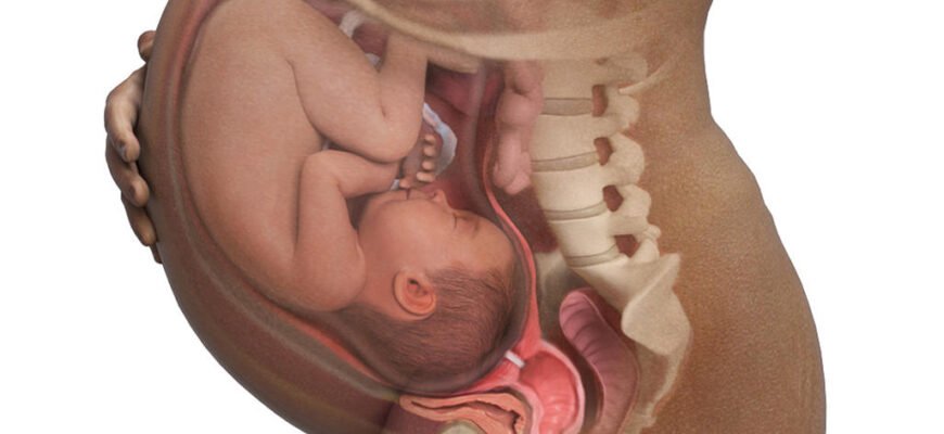 Хто винайшов місячні: історія природи, що цікавить мільйони людей