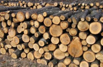 Хто має право на пільги на тверде паливо в Україні: умови та особливості