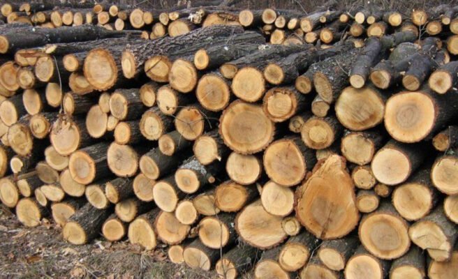 Хто має право на пільги на тверде паливо в Україні: умови та особливості