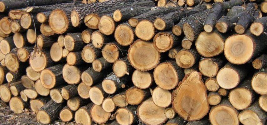 Хто має право на пільги на тверде паливо в Україні: умови та особливості Хто має право на пільги на тверде паливо в Україні: умови та особливості