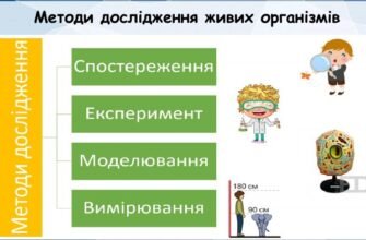 Методи дослідження організмів: сучасні технології та підходи
