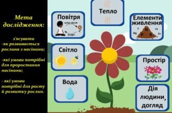 Методи дослідження рослин: новітні технології та підходи 2023