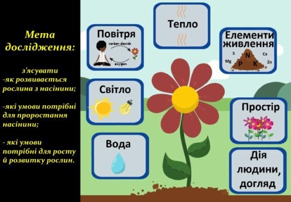 Методи дослідження рослин: новітні технології та підходи 2023