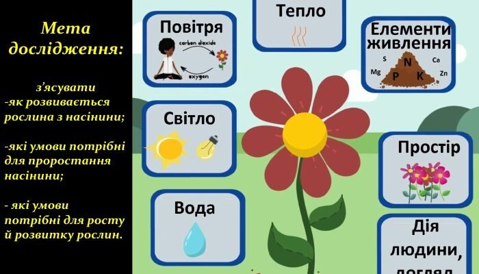 Методи дослідження рослин: новітні технології та підходи 2023 Методи дослідження рослин: новітні технології та підходи 2023