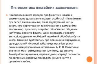 Основні методи профілактики інвазійних захворювань: повний гайд
