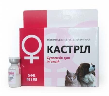 Кастріл: Як стародавній засіб допомагає зберігати їжу свіжею