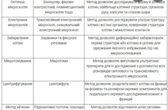Основні методи сучасної цитології: інновації в дослідженнях клітин