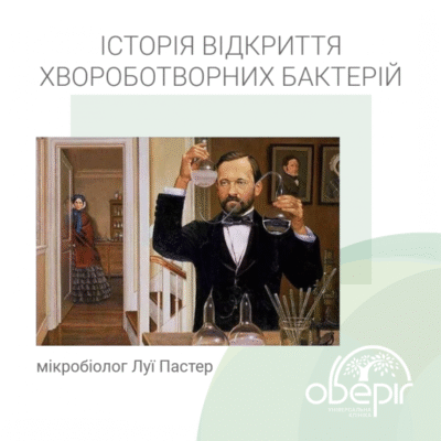 Хто відкрив бактерії: дослідження та відкриття мікросвіту