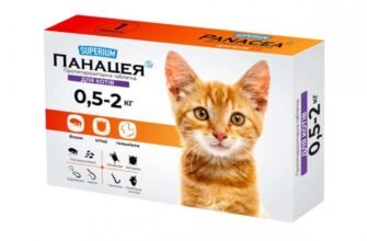 Панацея для котів: міф чи реальність у догляді за улюбленцями?