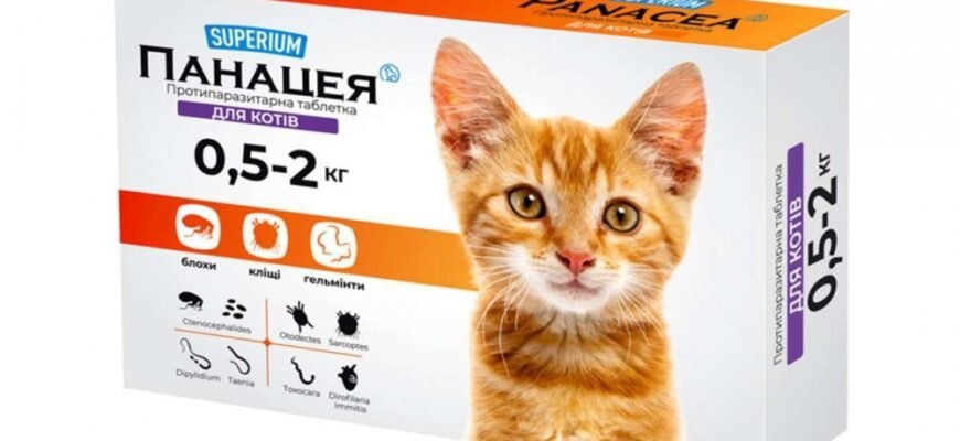 Панацея для котів: міф чи реальність у догляді за улюбленцями?