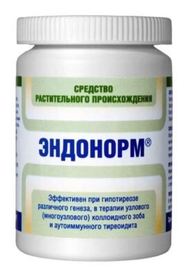 Ендонорм: значення, застосування та вплив на розвиток мовних спільнот