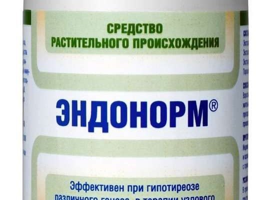 Ендонорм: значення, застосування та вплив на розвиток мовних спільнот