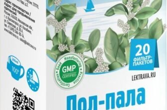 Пол пала: властивості, користь і застосування трави в медицині