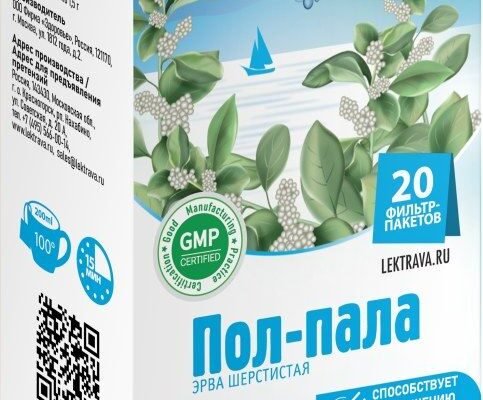 Пол пала: властивості, користь і застосування трави в медицині