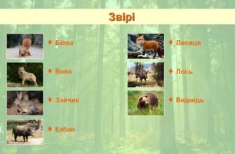 Хто живе у лісі: розкриваємо таємниці мешканців лісових гущавин