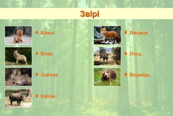 Хто живе у лісі: розкриваємо таємниці мешканців лісових гущавин