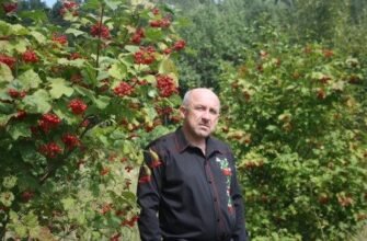 Богдан Пришляк: Вражаюча Історія Життя та Досягнень Видатної Особистості