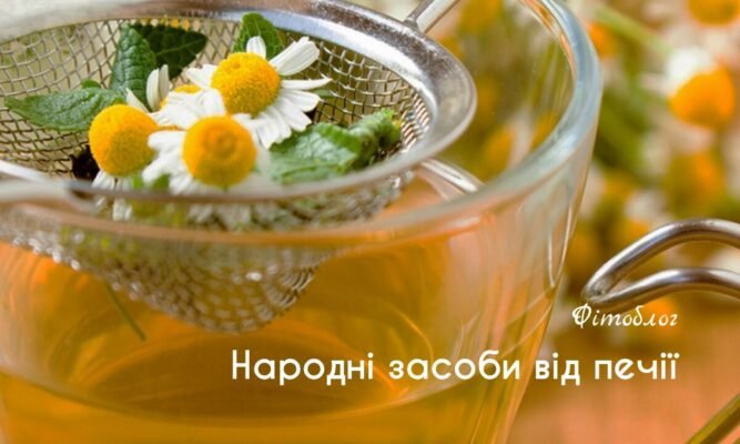 Народні методи від печії: ефективні рецепти для полегшення неприємних відчуттів Народні методи від печії: ефективні рецепти для полегшення неприємних відчуттів