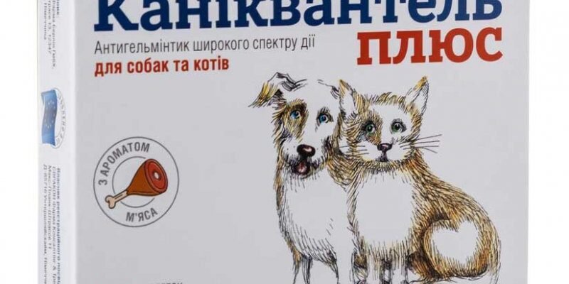 Каніквантель: ефективний засіб від паразитів для улюбленців