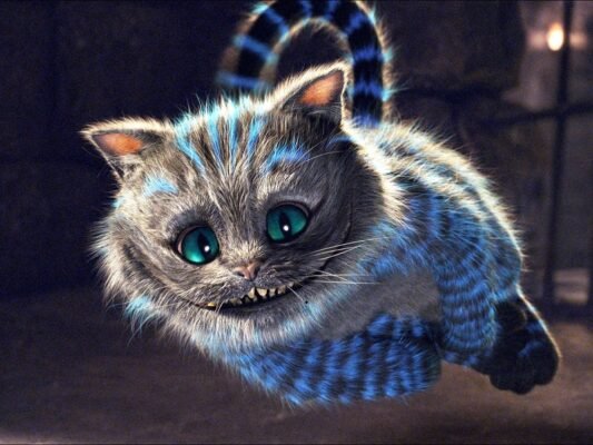 Чеширський кот порода: особливості, догляд і чарівність улюбленців