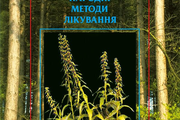 Ефективні народні методи лікування: секрети здоров’я від природи