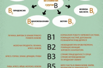 Як вітаміни групи B впливають на здоров’я та енергію вашого тіла?
