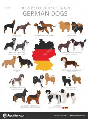 Найкращі німецькі породи собак: знайдіть ідеального друга для вас