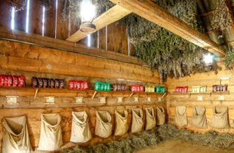 Музей Дідова Аптека: Історія фармації в серці України