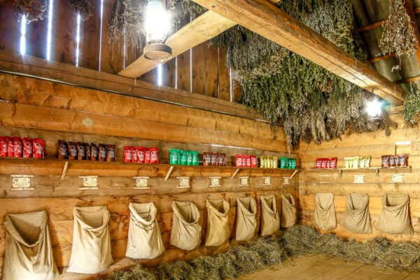 Музей Дідова Аптека: Історія фармації в серці України