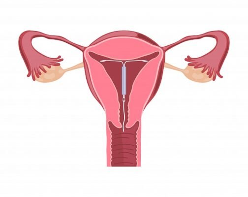 Еволюція спіралі: як форма впливає на природу та технології